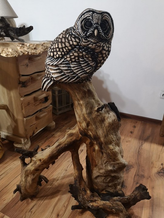 Drevená socha sova